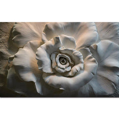 Vloerkleed – Creatief ontwerp – Polypropyleen, wasbaar, huisdiervriendelijk, niet-slip