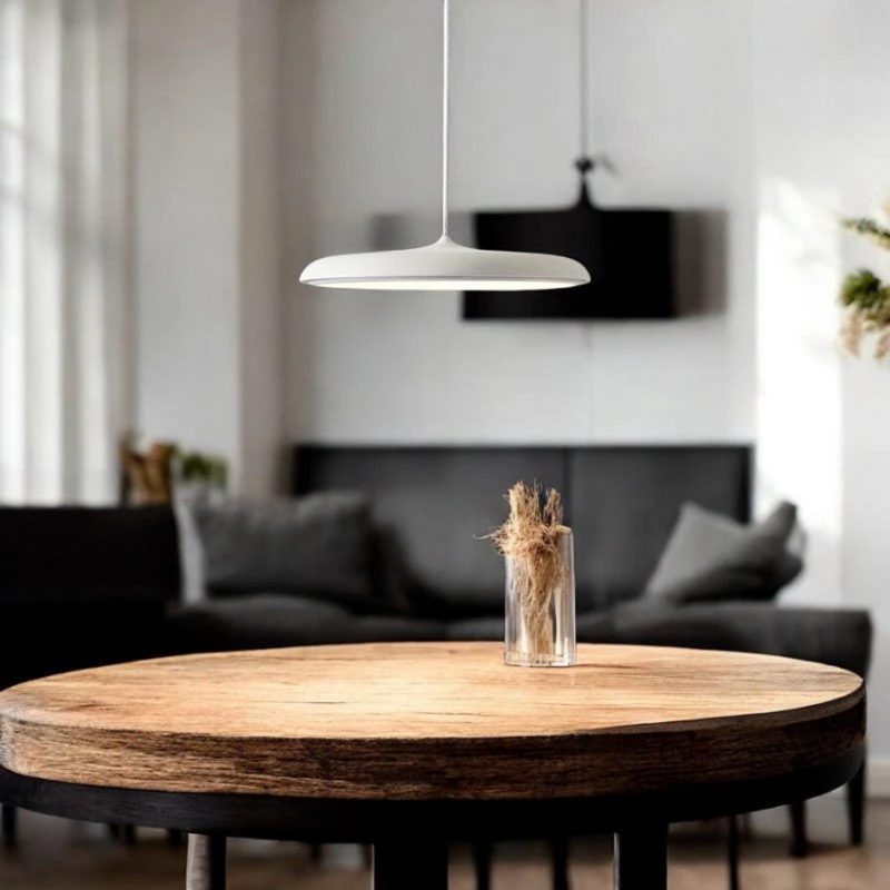 Hanglamp Ronde Vorm – Modern Design – Geschikt voor Diverse Interieurs