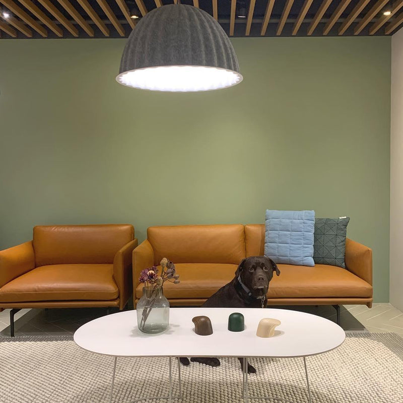 Hanglamp – Modern ontwerp – Geschikt voor verschillende interieurstijlen, energiezuinig